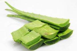 Aloe vera is a great immunity boosting foods