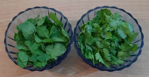 Mint leaves and coriander leaves for sweet potato chaat