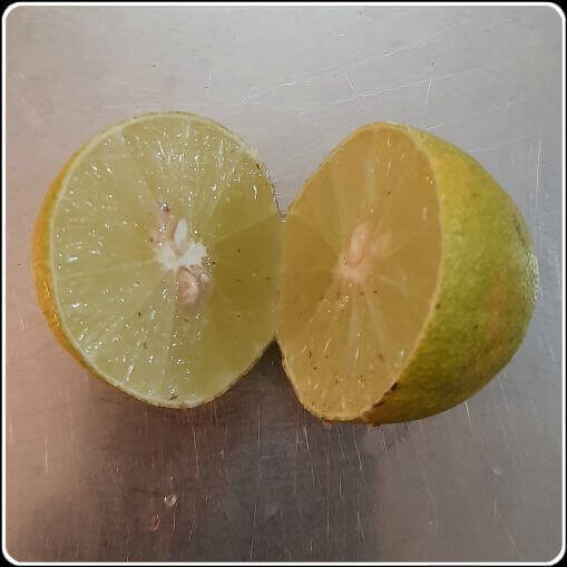 One lemon cut in half