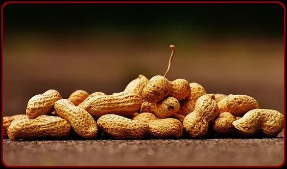 Pile of whole peanuts on floor